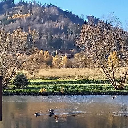 Apartmán Minisowa Jedlina-Zdroj Exteriér fotografie
