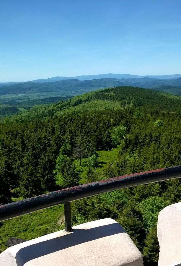 Apartmán Minisowa Jedlina-Zdroj Exteriér fotografie