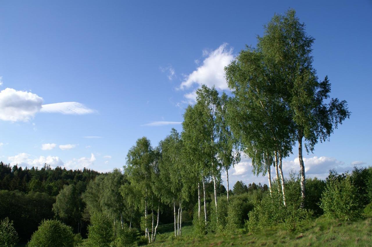 Apartmán Minisowa Jedlina-Zdroj Exteriér fotografie
