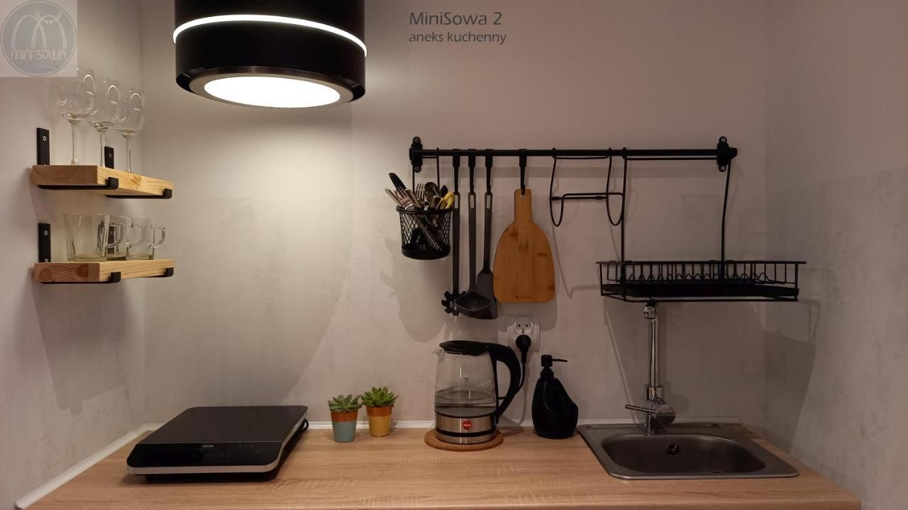 Apartmán Minisowa Jedlina-Zdroj Exteriér fotografie
