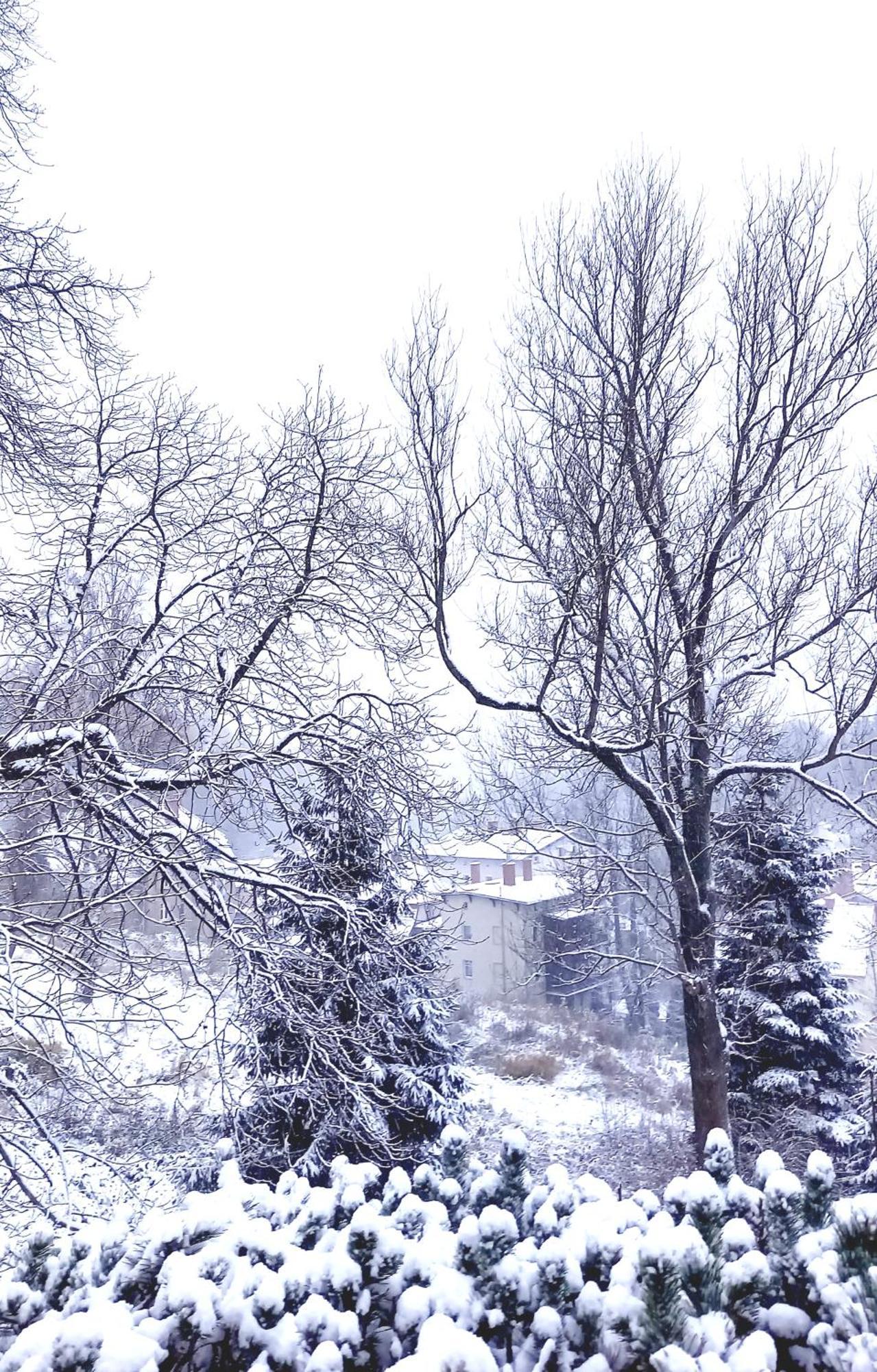 Apartmán Minisowa Jedlina-Zdroj Exteriér fotografie