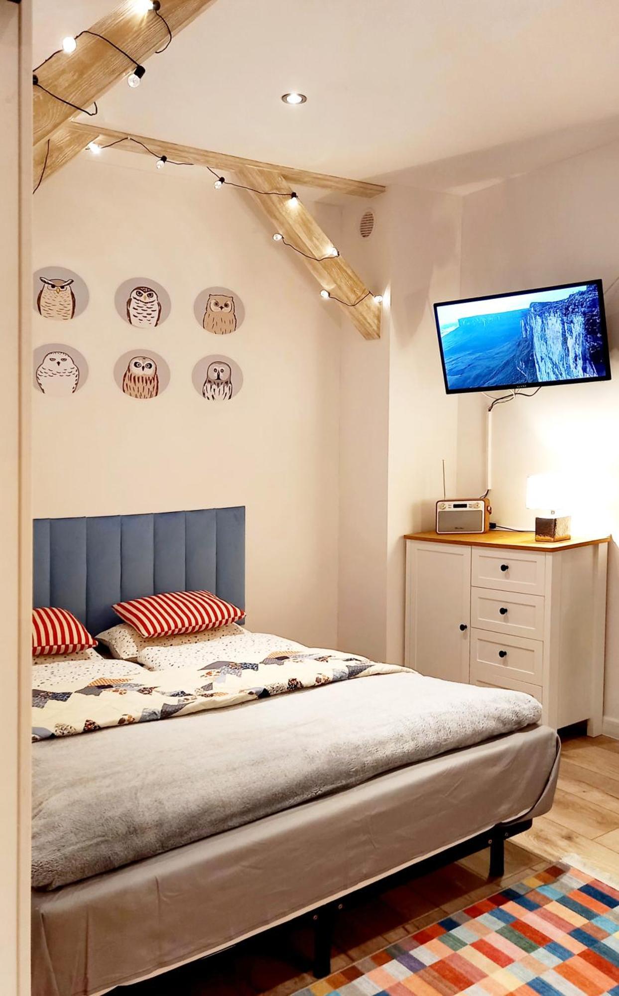Apartmán Minisowa Jedlina-Zdroj Exteriér fotografie