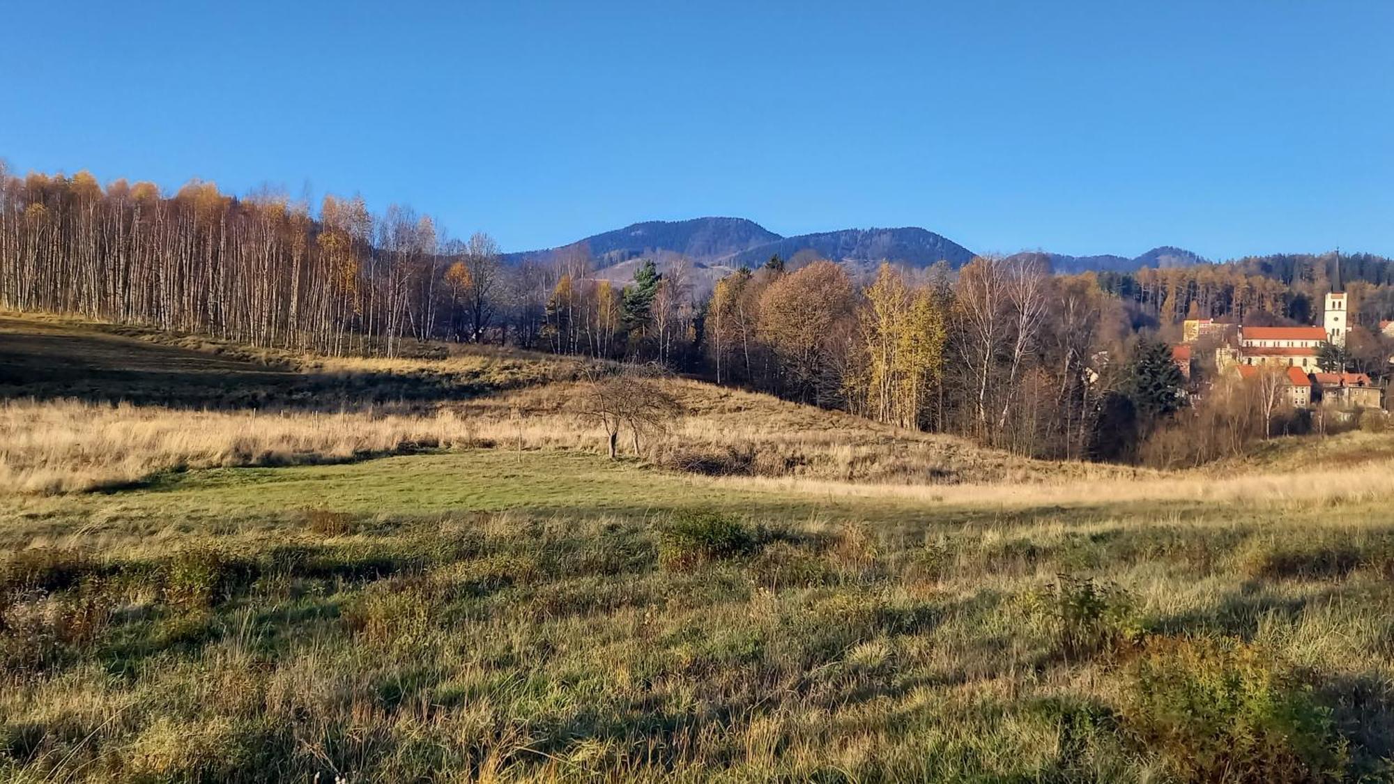 Apartmán Minisowa Jedlina-Zdroj Exteriér fotografie