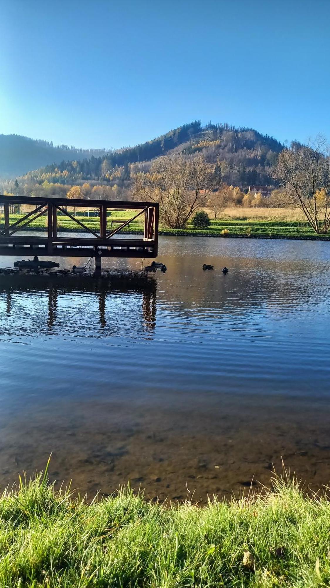 Apartmán Minisowa Jedlina-Zdroj Exteriér fotografie