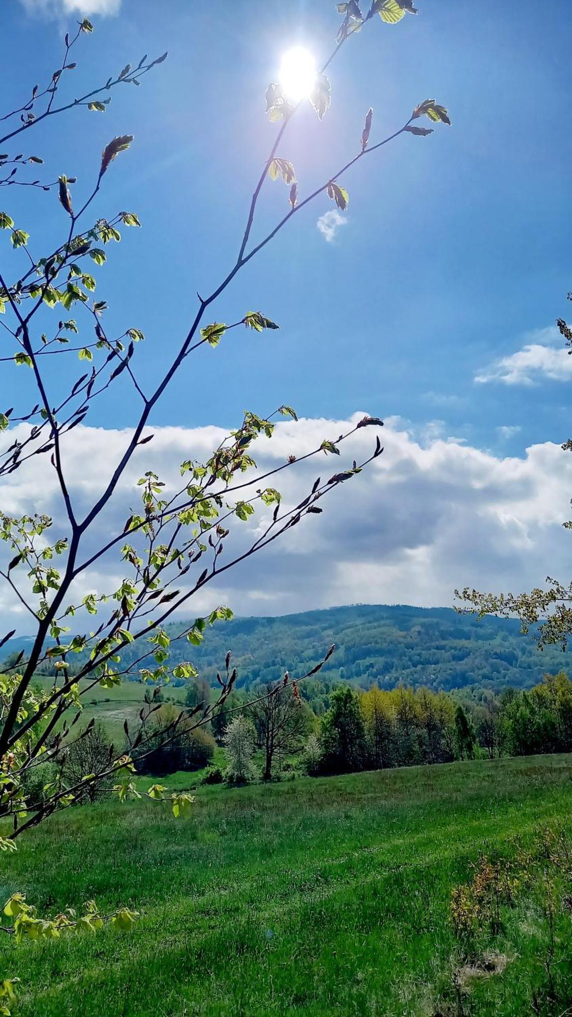 Apartmán Minisowa Jedlina-Zdroj Exteriér fotografie
